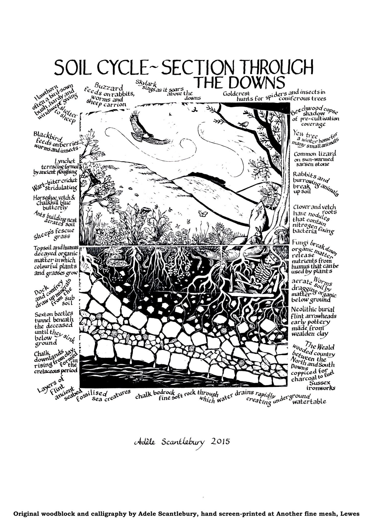 Soil Cycle