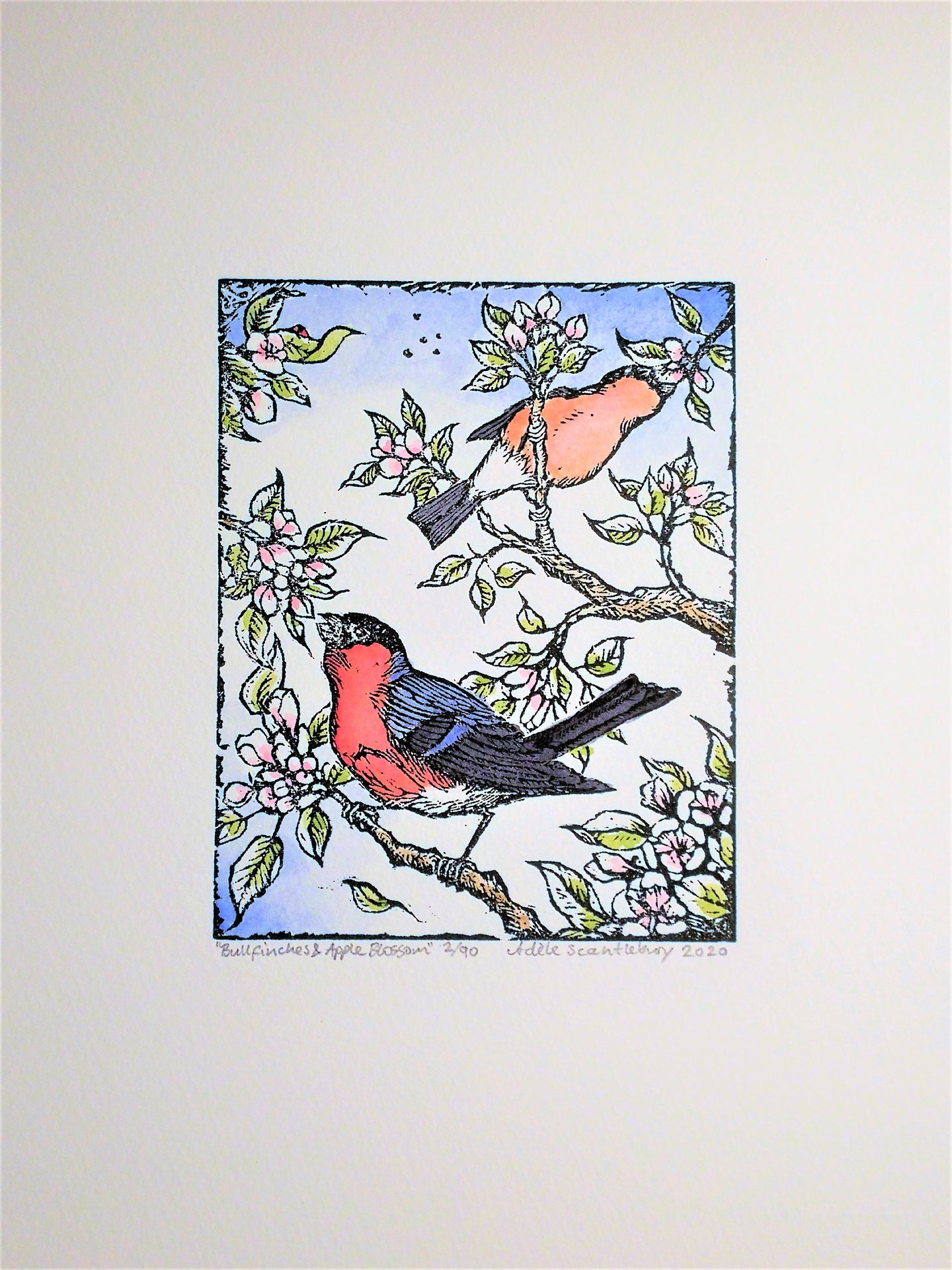 Bullfinches & Apple Blossom